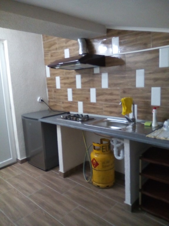 Bucataria Apartamentului de familie